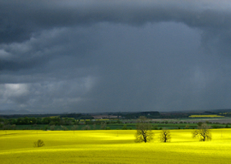 'Come rain or come shine....'